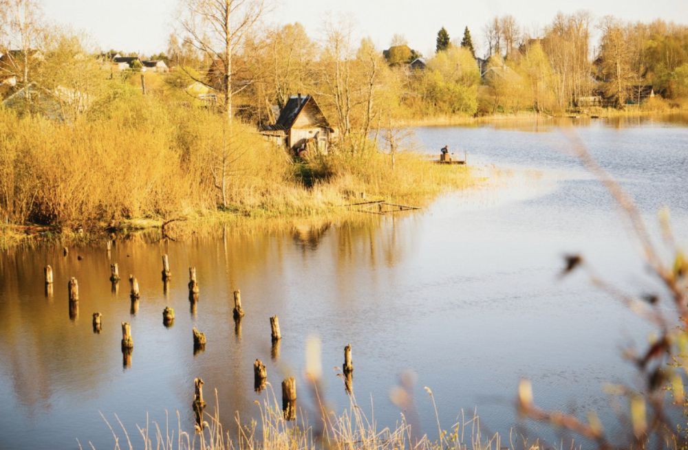 Photograph by Алёна Романова