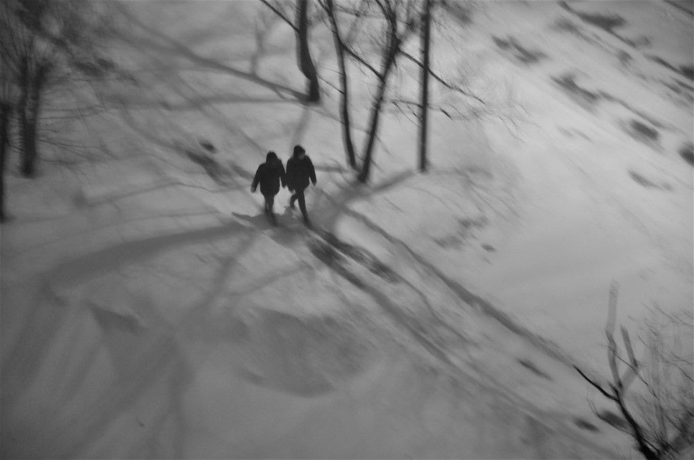 Photograph by Юлия Лис-а