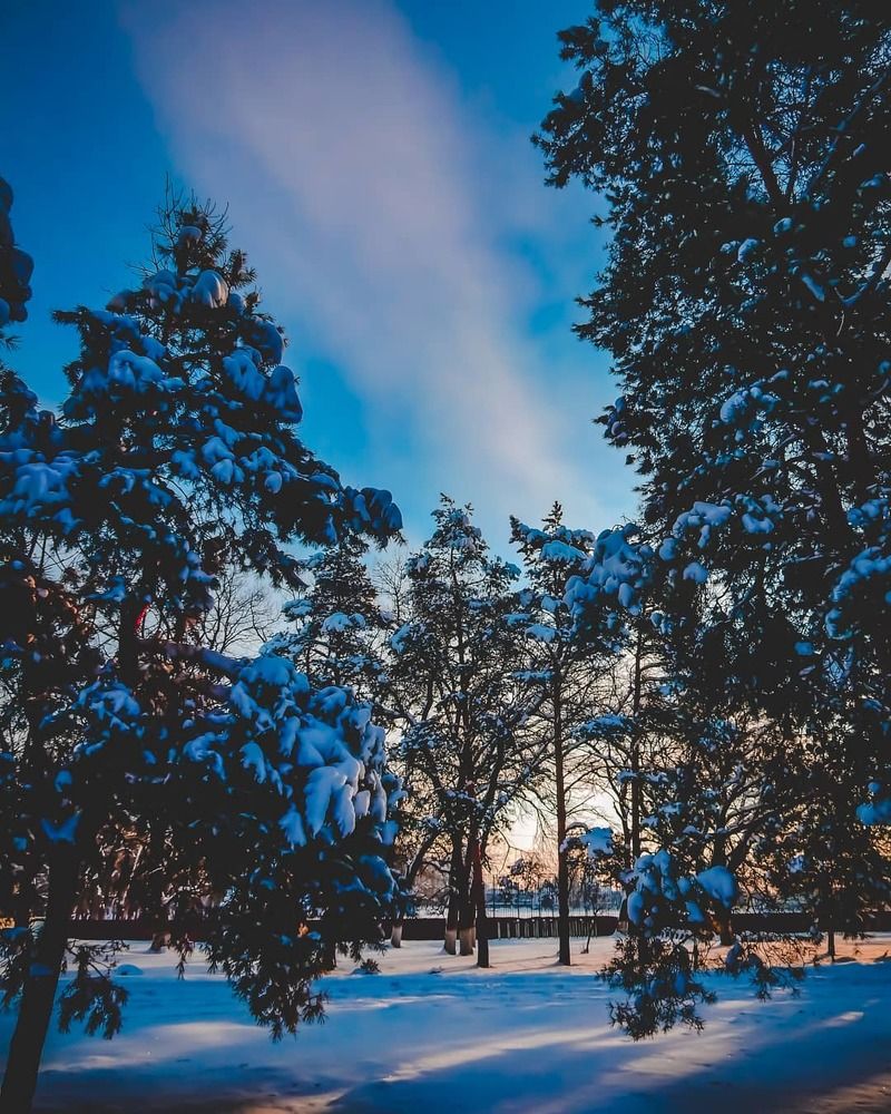 Photograph by Татьяна Слободчикова