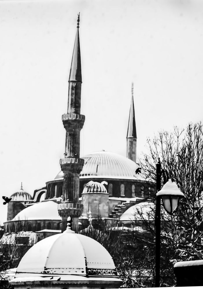 Photograph by Nazanin shirazi