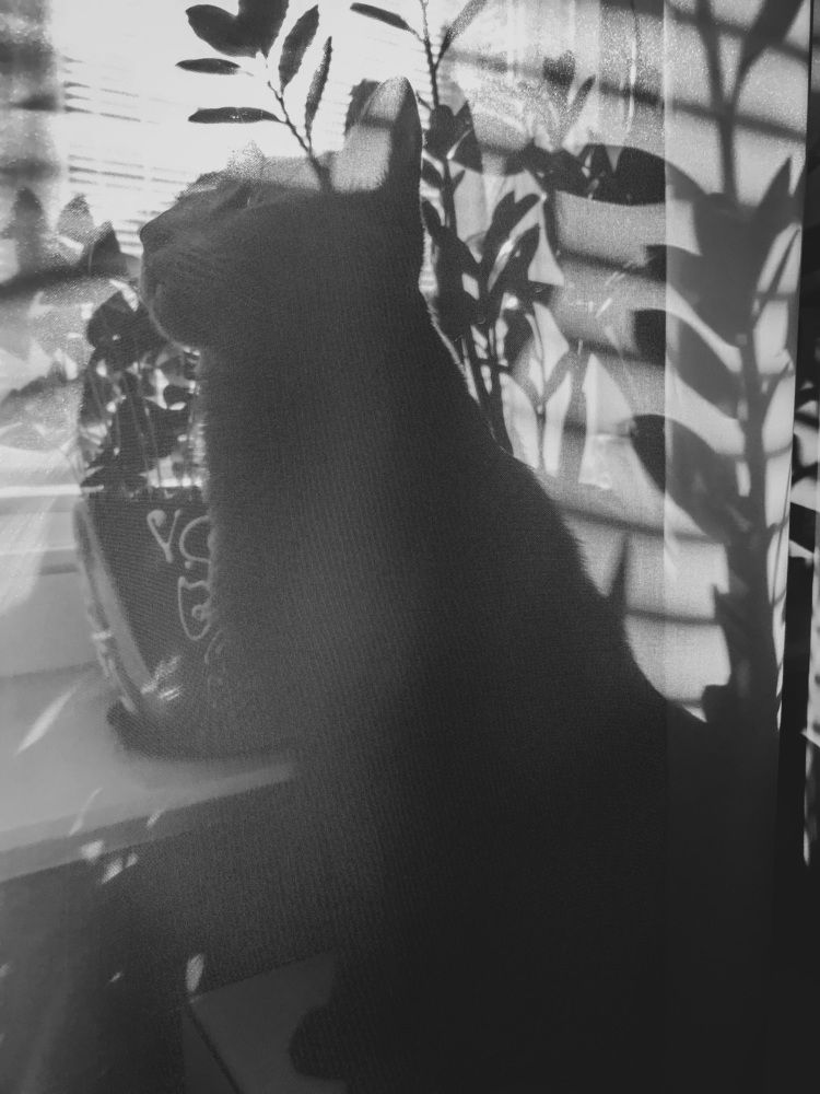 Photograph by Ольга Мукина