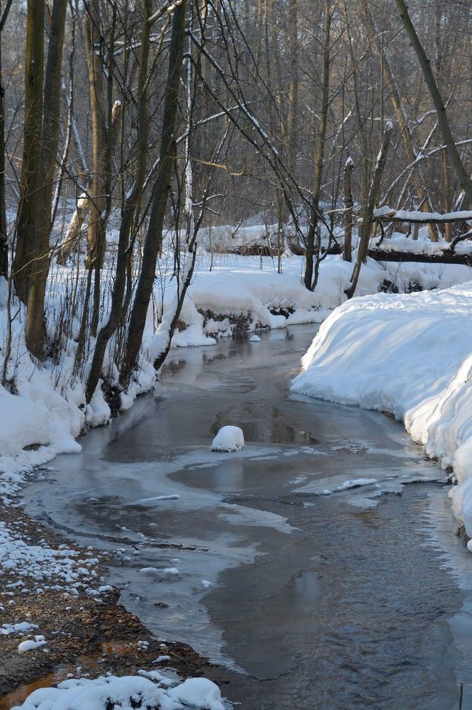Photograph by Александр Малахов