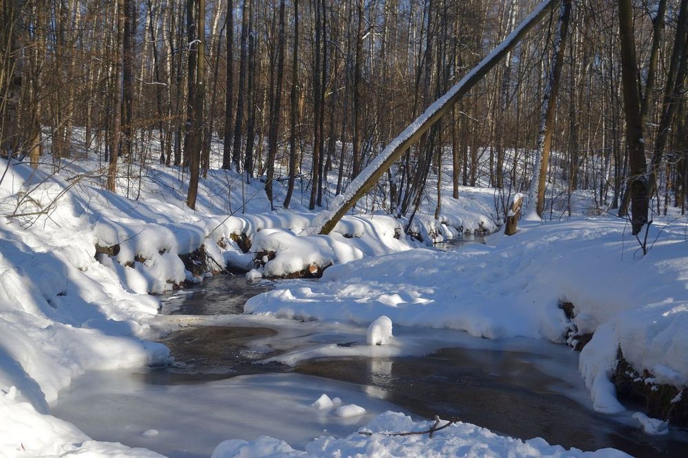 Photograph by Александр Малахов