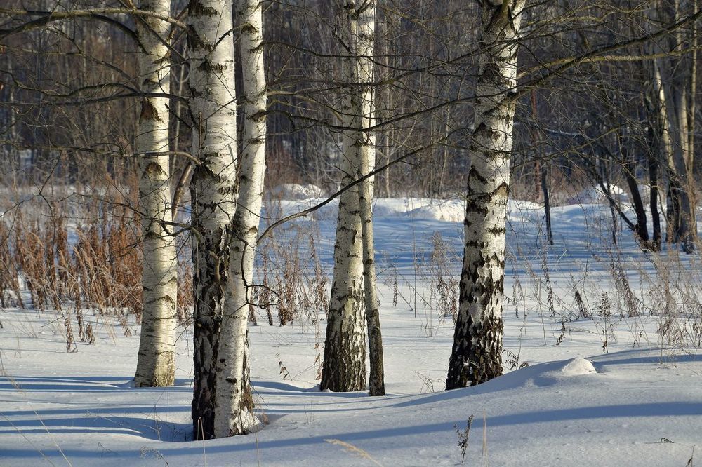 Photograph by Александр Малахов