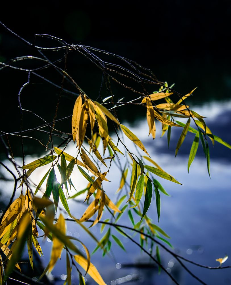 легенды осени