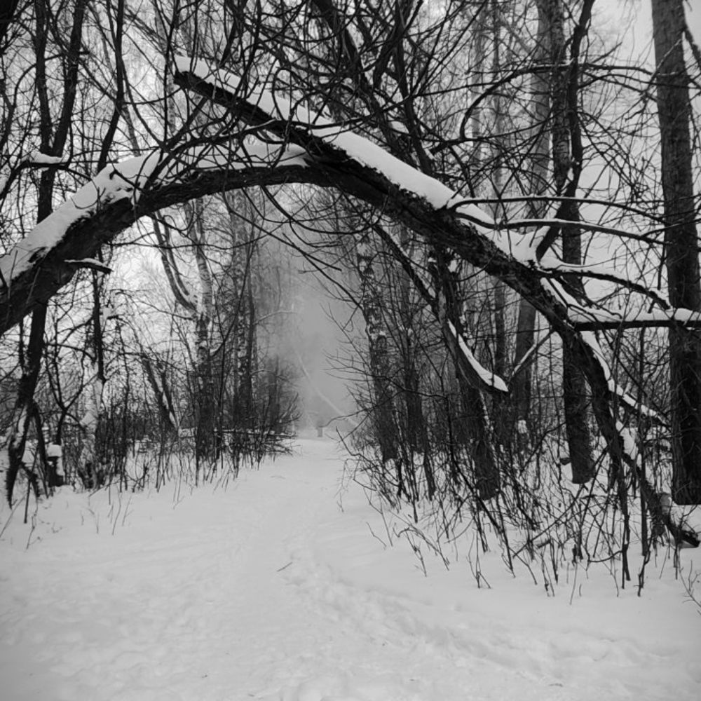 Одиночество