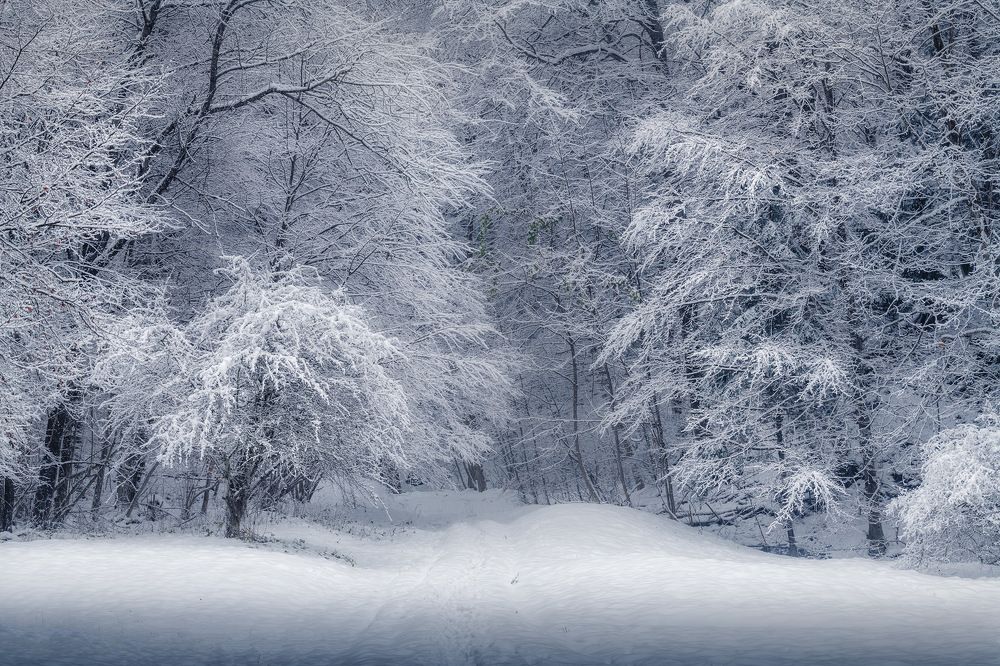 Фотография автора Emelyanov Alex