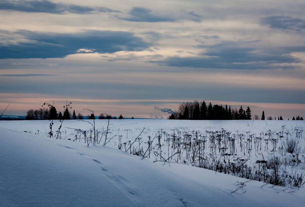 Photograph by Дмитрий Кузнецов