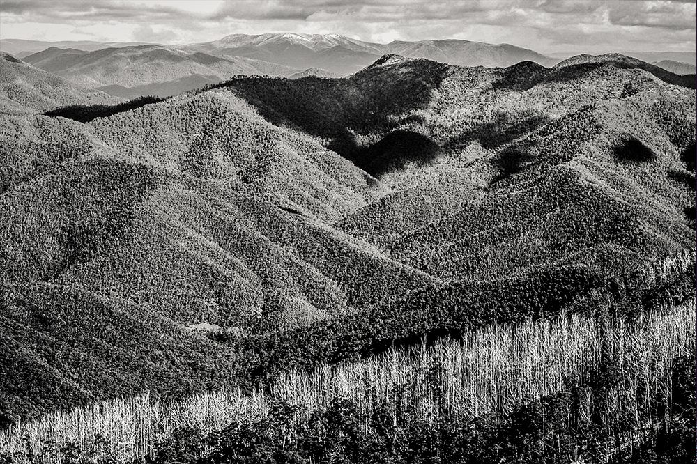 Photograph by Greg Di Natale