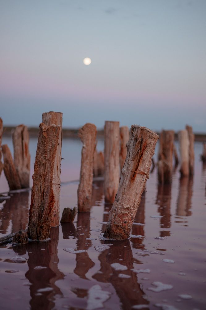 Photograph by Любов Шарко