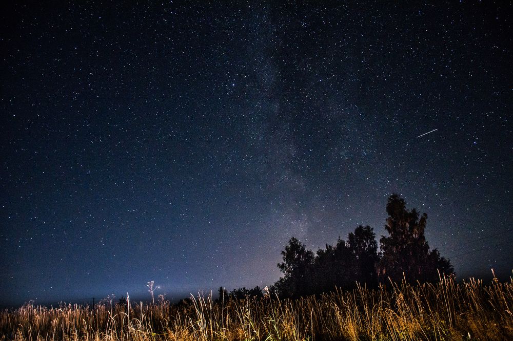 Photograph by Лариса Метелева