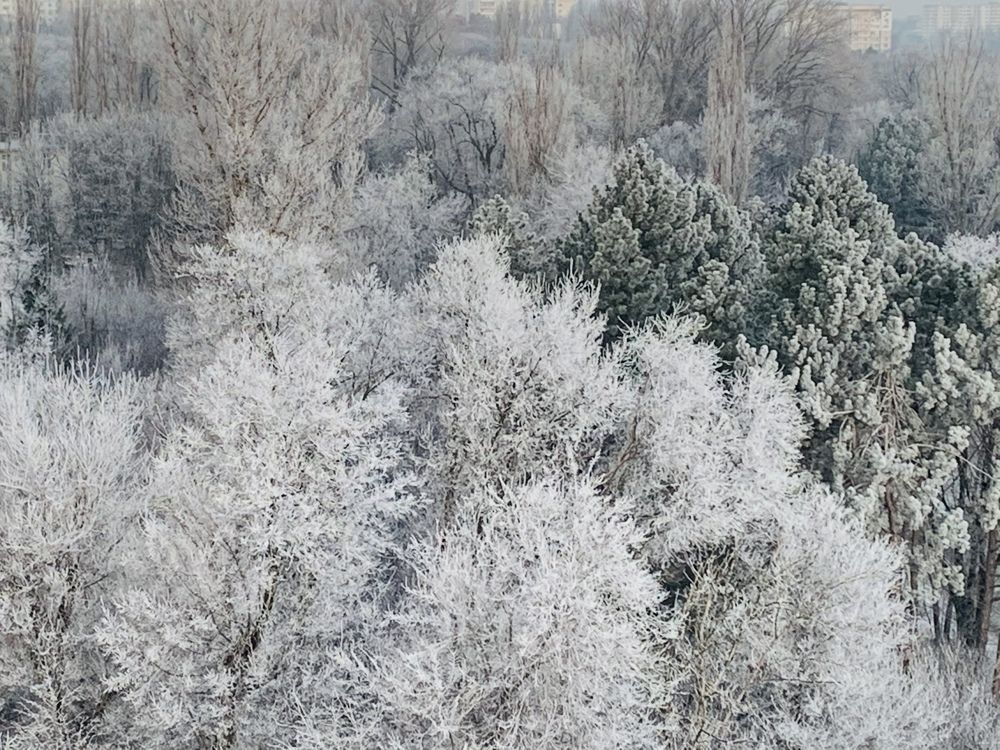 Photograph by Marina Ivanov