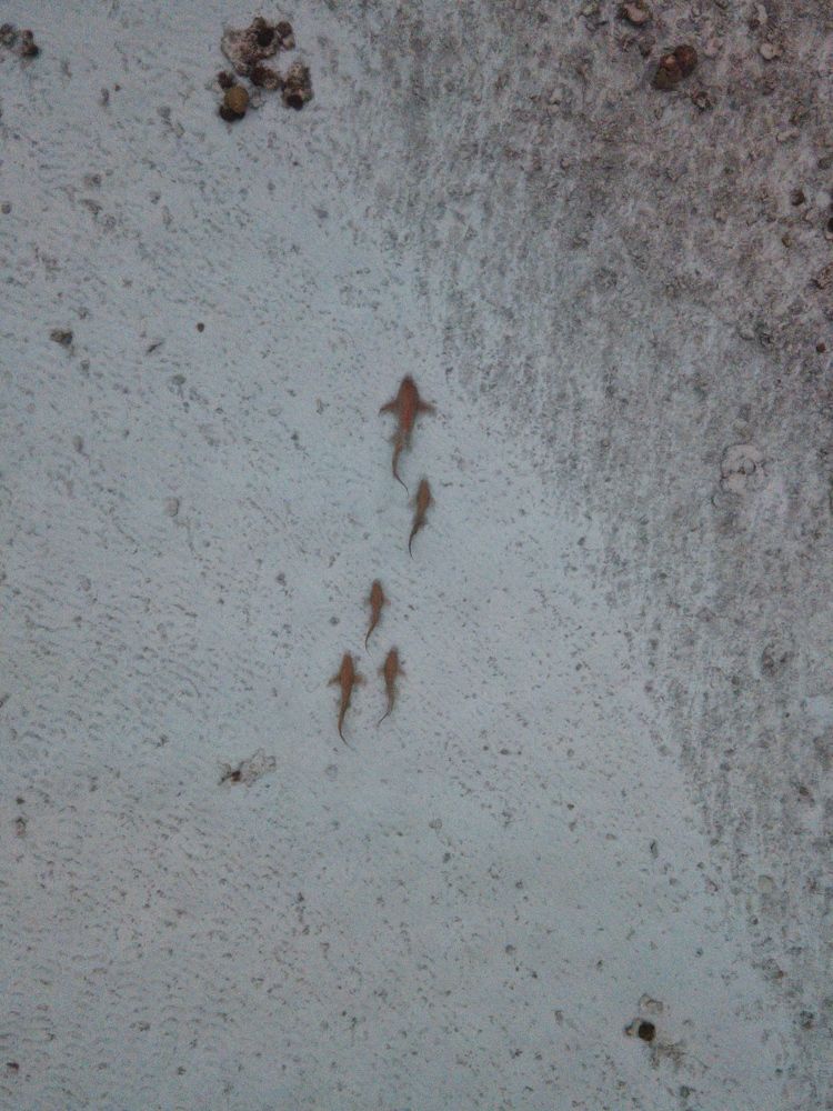 Photograph by Anna Paliukh