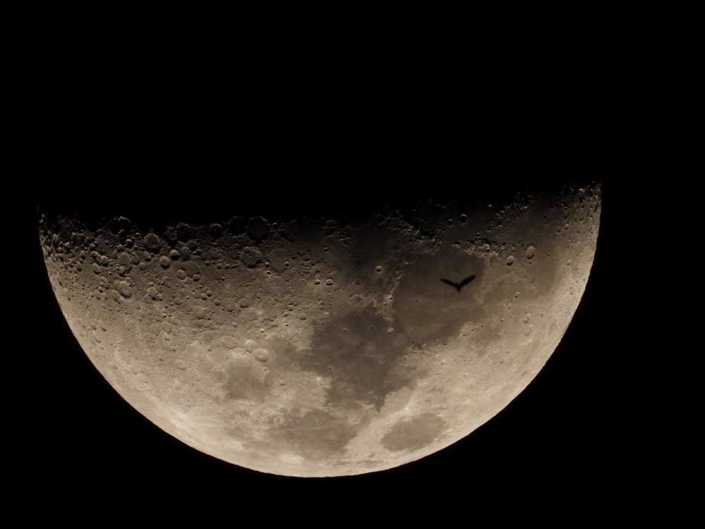 Photograph by Paris Claudio Ruiz Rosales