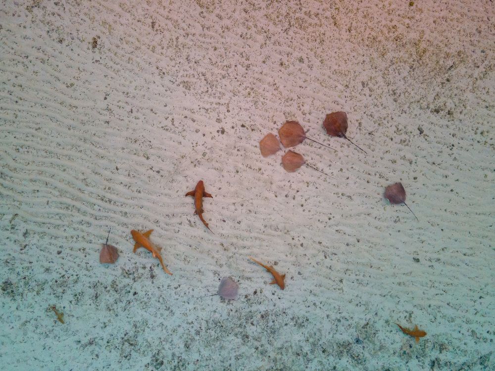 Photograph by Anna Paliukh