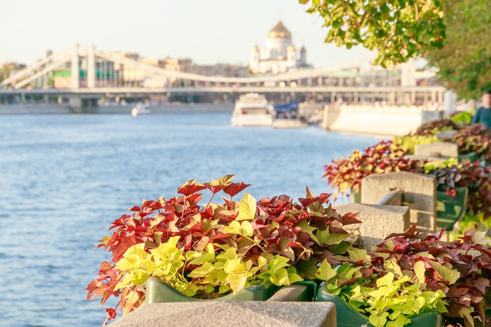 В Парке Горького