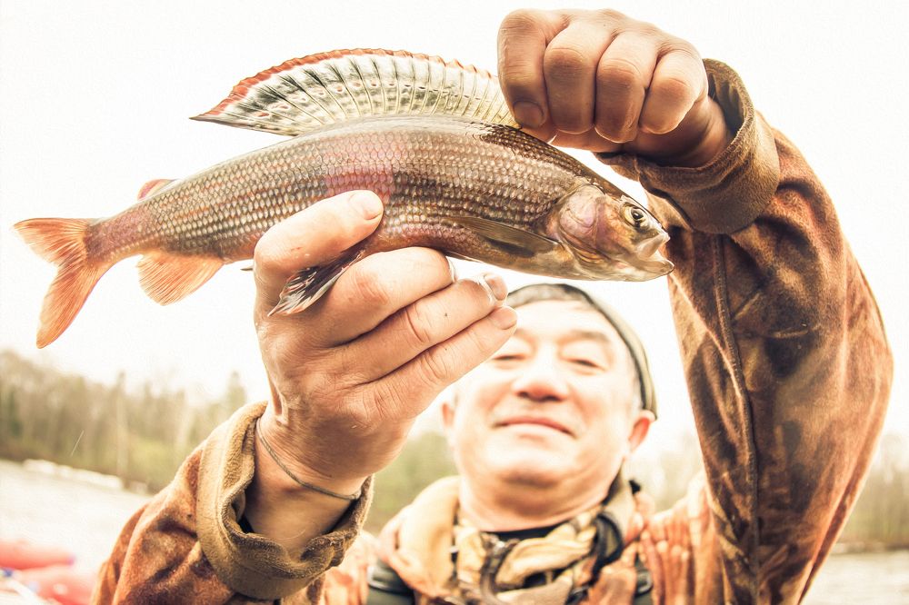 Photograph by Александр Фроленок