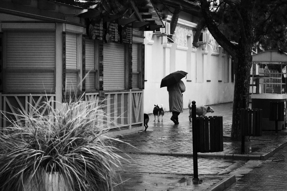 Photograph by Елена Покрепа