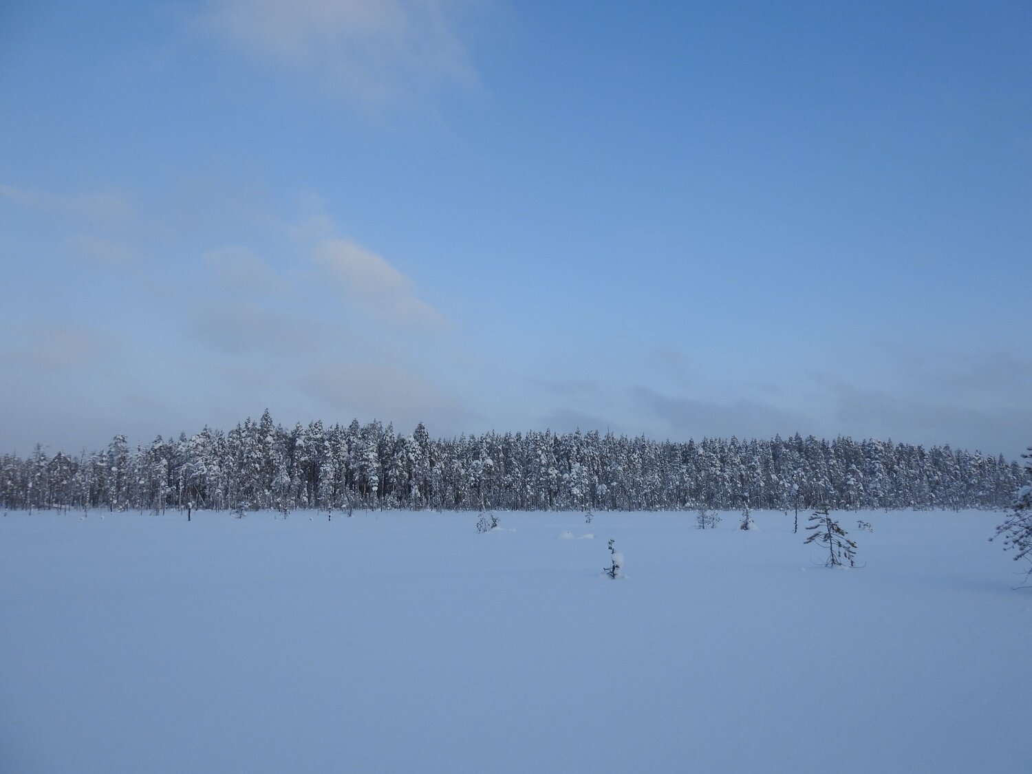 Photo #5789032