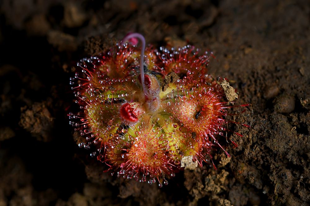 Photograph by Yuwaraj Gurjar