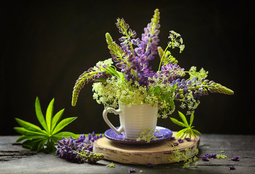 Фотография автора Евгения Грин