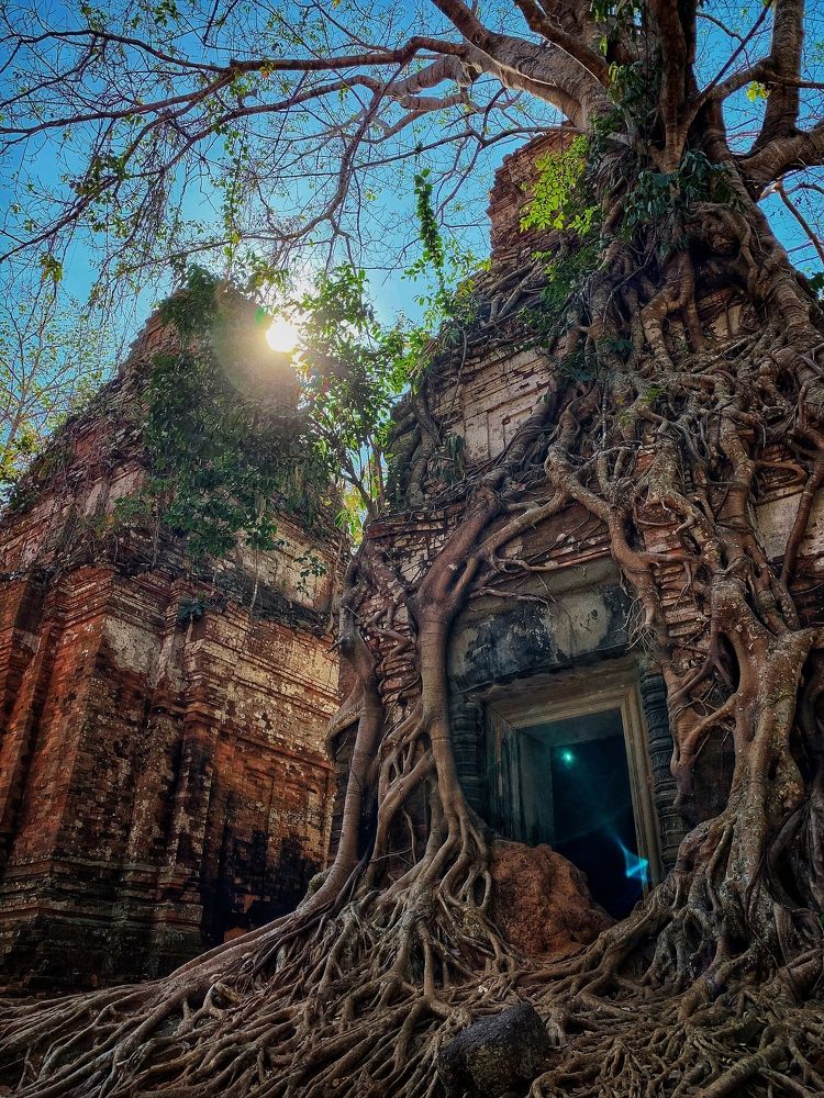 Магия друидов