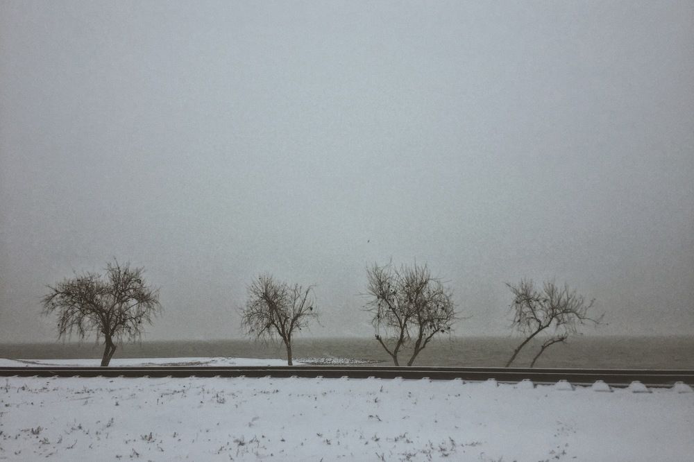 Photograph by Лена Суворова