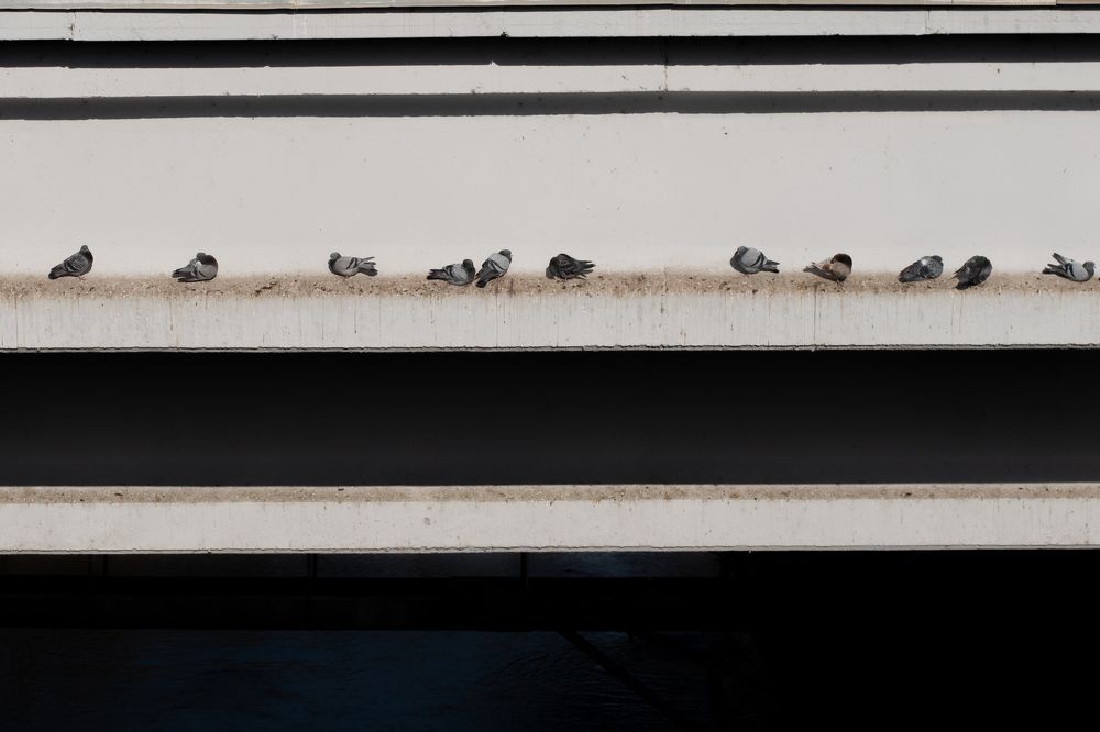 Photograph by Rusudan Khubutiya