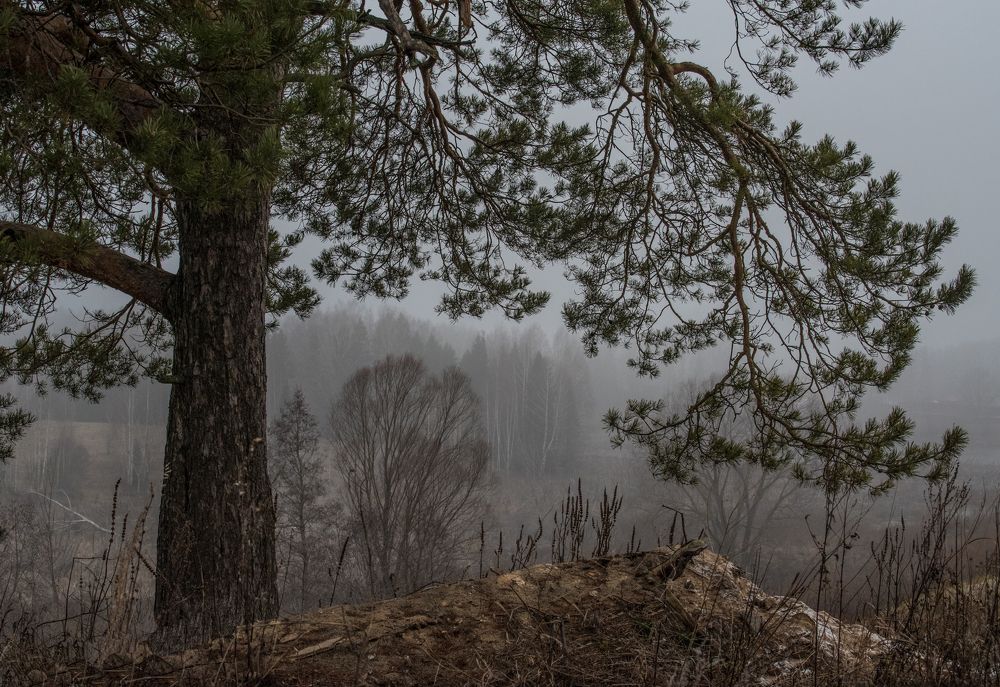 Фотография автора Виктор Руденко