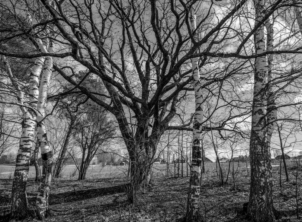 Фотография автора Виктор Руденко