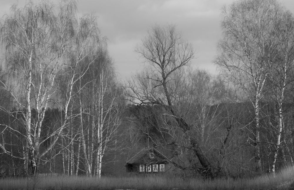 Фотография автора Виктор Руденко