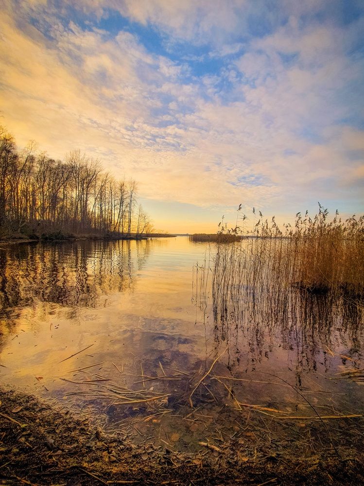 Вечер на озере.