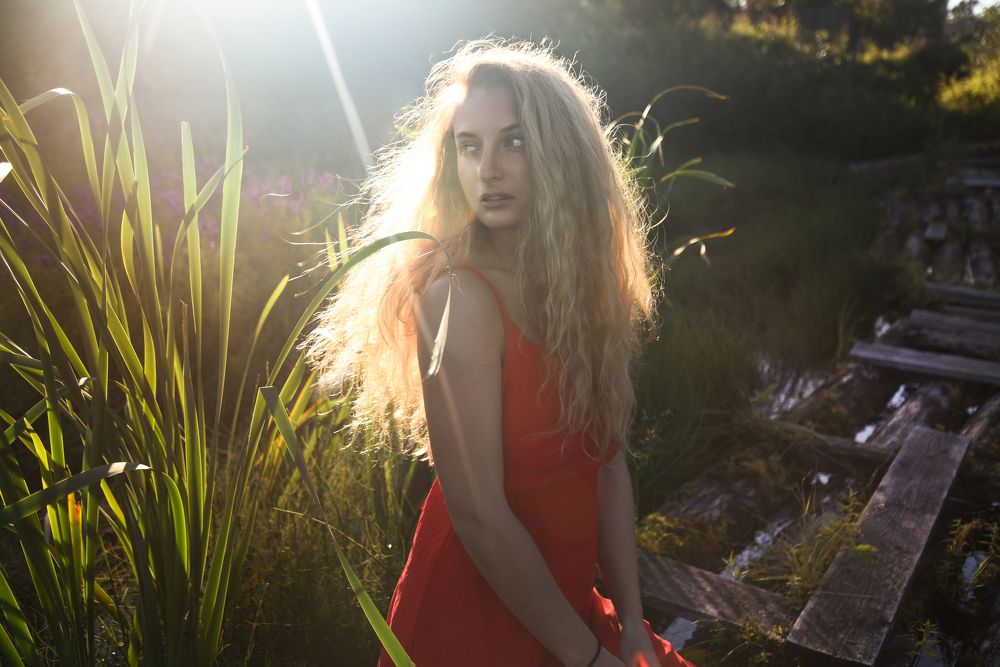 Photograph by Сильвия Шестакова