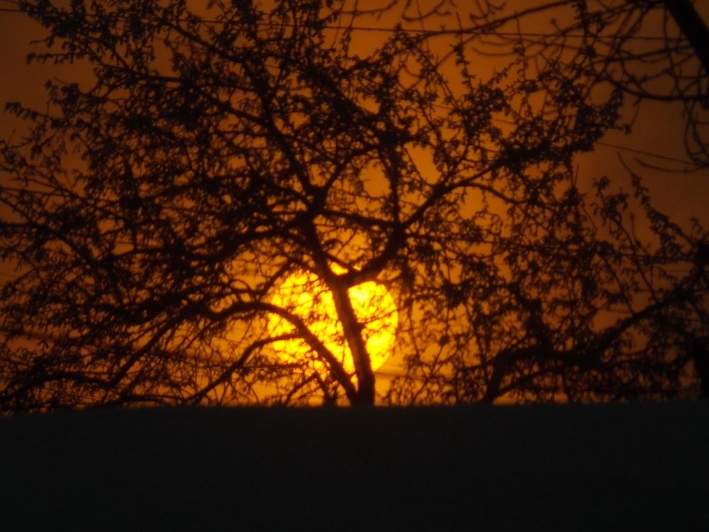 Photograph by Алина Жавела