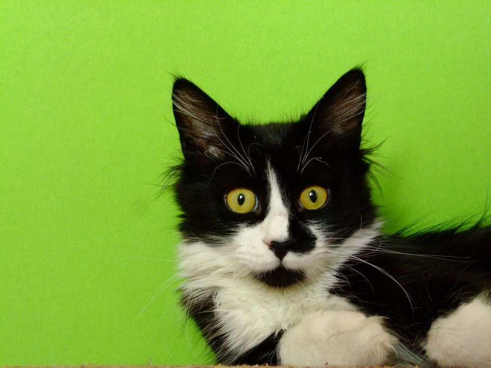 Photograph by Cengiz Yalcin