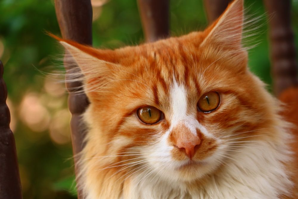 Photograph by Cengiz Yalcin