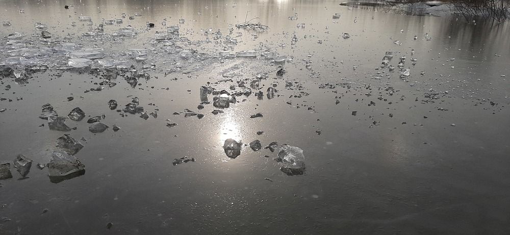 Photograph by Дарина Присекина
