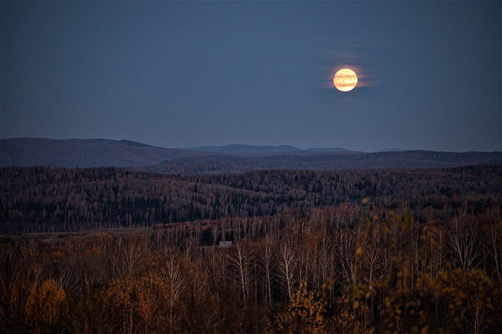 Photograph by Dmitriy Marchenko