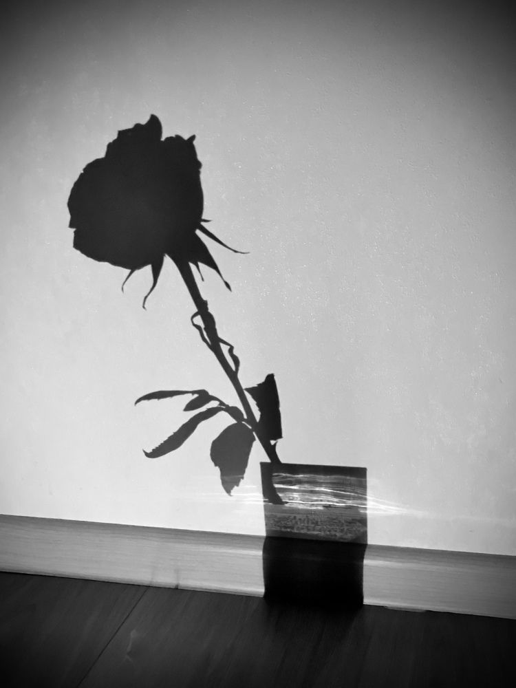 Photograph by Наталья Степченко