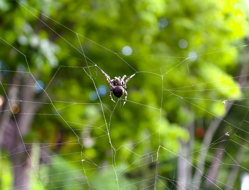 Photograph by Наталья Степченко