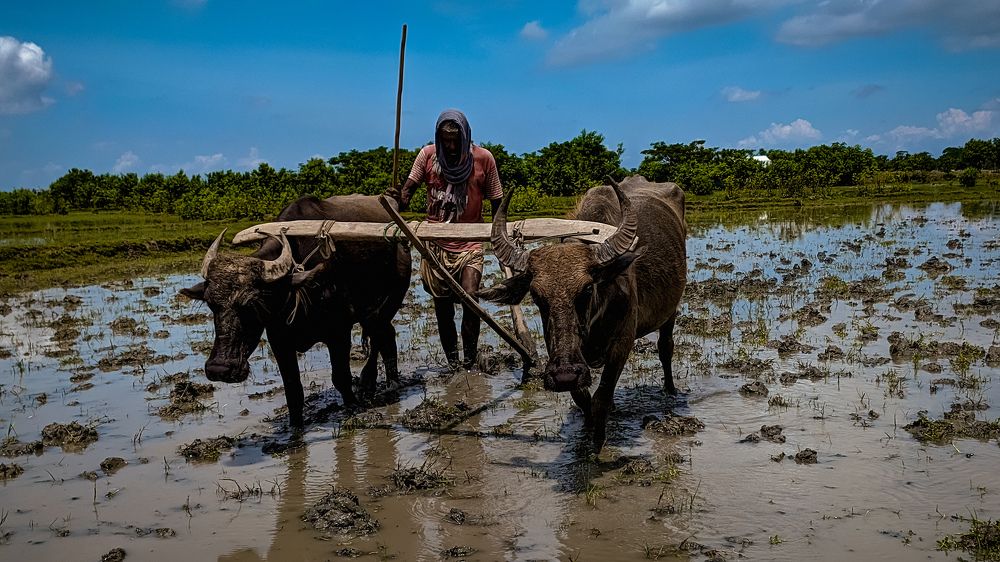 Photograph by Uttam bala