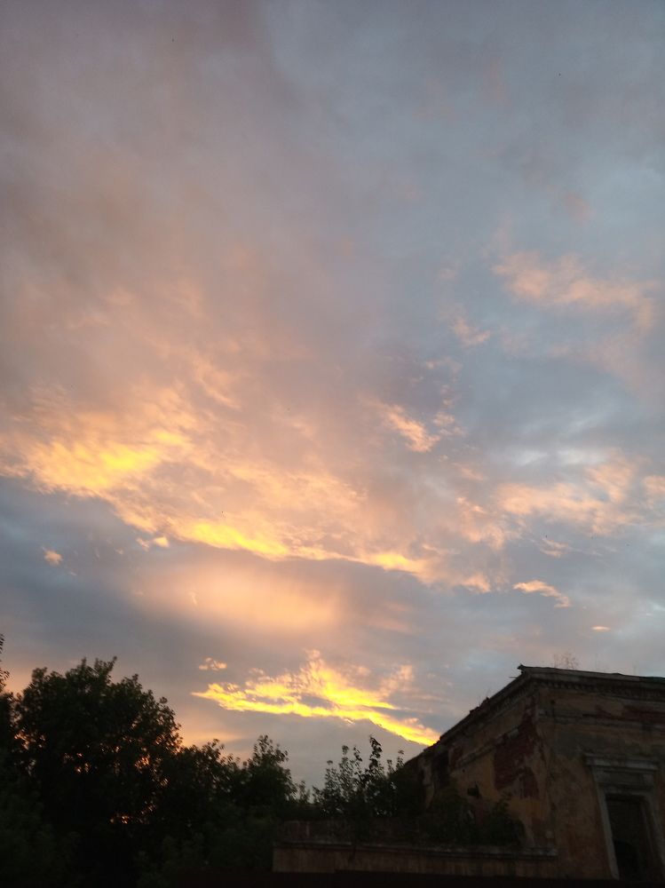 Photograph by елена сидорова