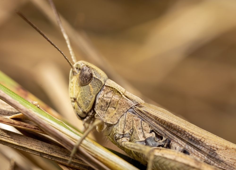 Photograph by Глеб Коровко