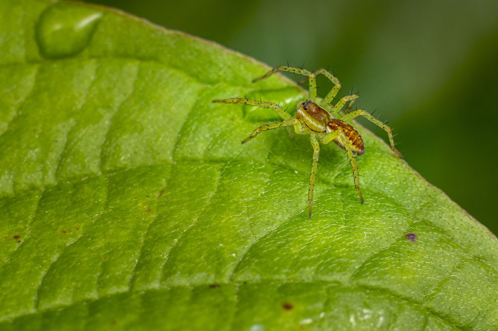 Photograph by Глеб Коровко