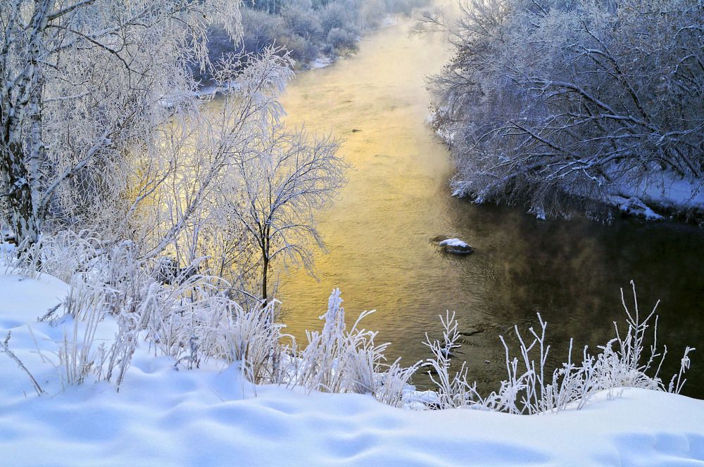 Золотая речка.