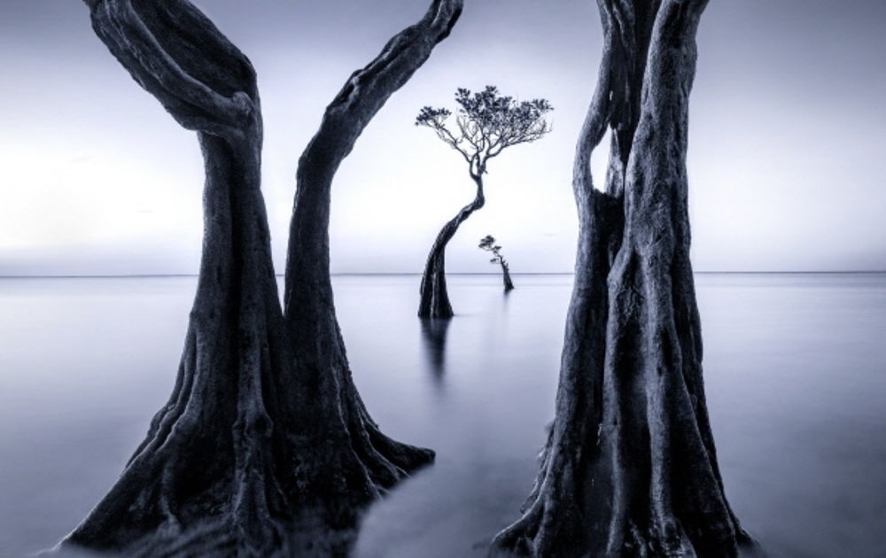 Photograph by suk eun kim