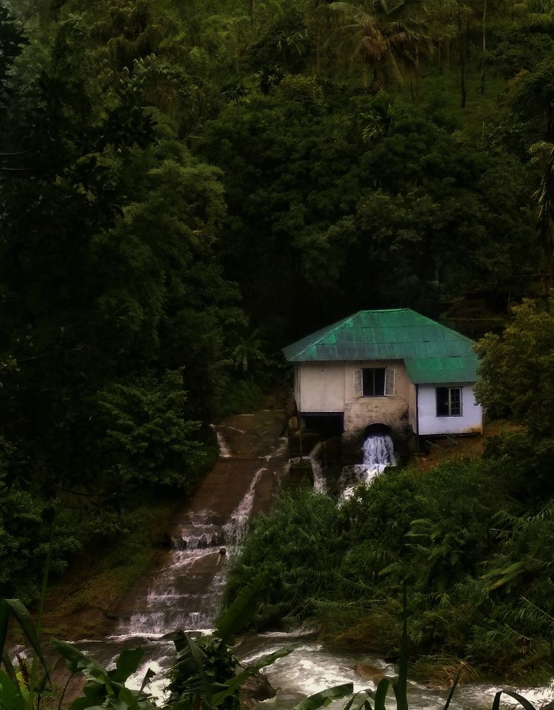 Photograph by Pasan Madhusankha