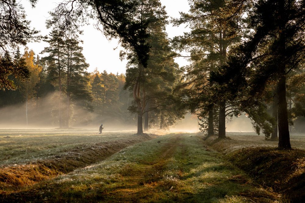 Photograph by Илья Юфа