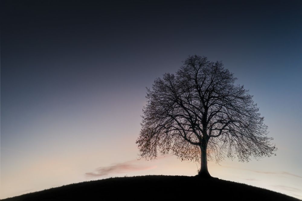 Фотография автора Emelyanov Alex