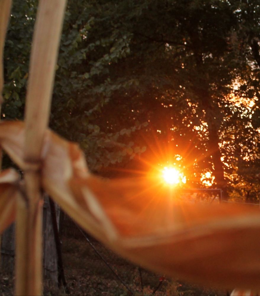 Photograph by Дарья Ващенко-Панкина